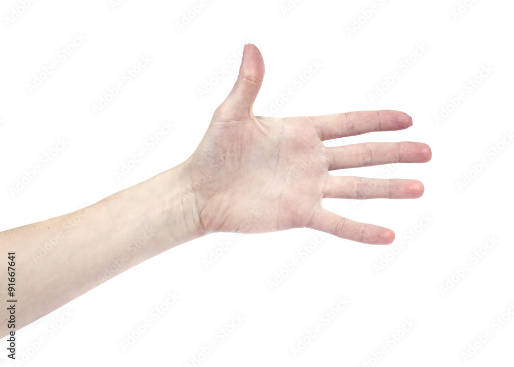 Female hands isolated on white background