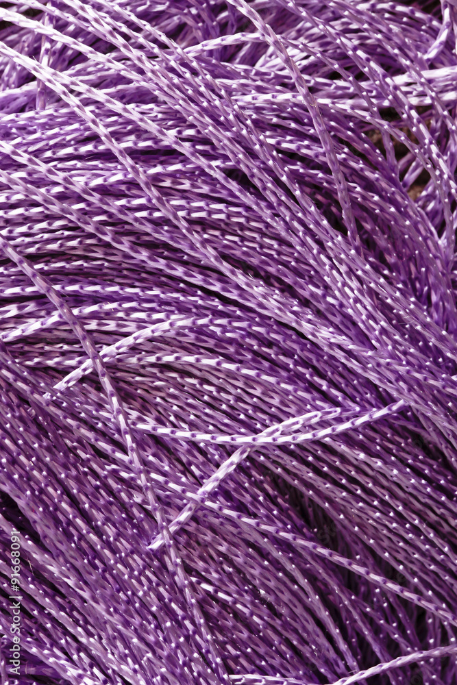Fototapeta premium Purple string