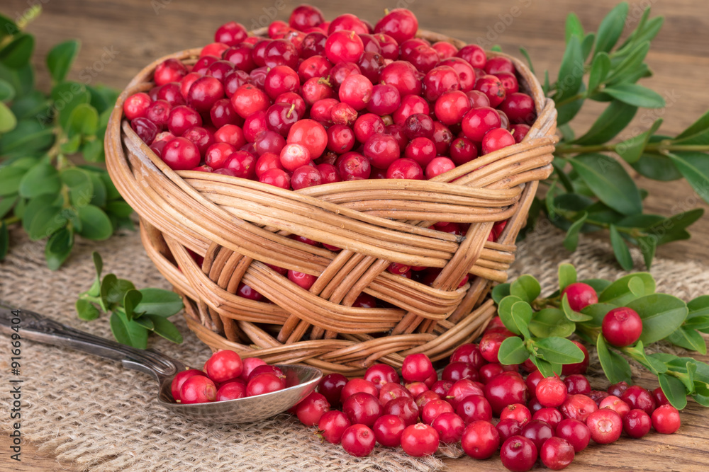Lingonberry basket on burlap Lingonberry basket on burlap