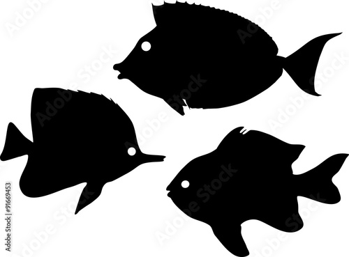 Silhouettes of marine fishes