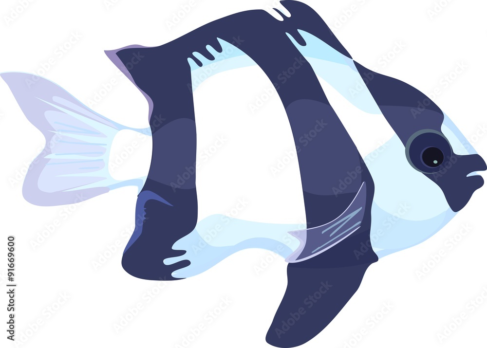 Obraz premium Dascyllus aruanus