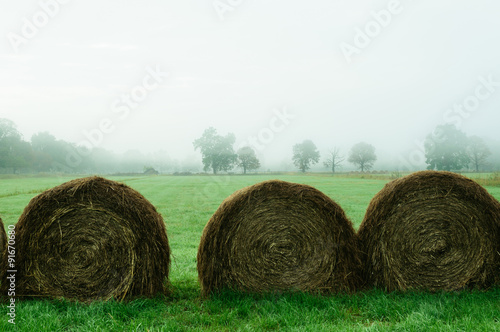 The hay field 1 photo