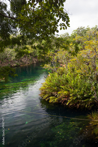 Cenote with pure water  Mexico