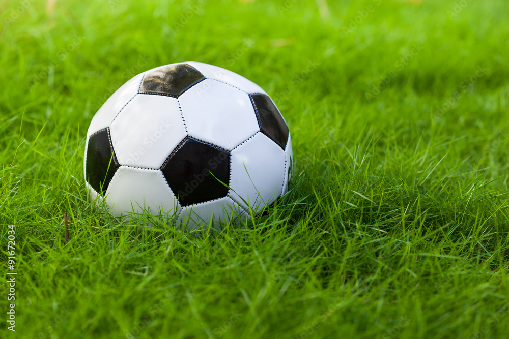 Soccer ball on grass