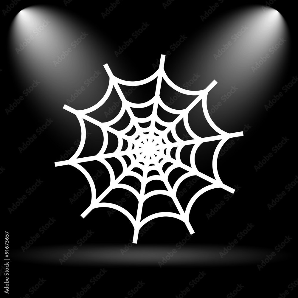 Spider web icon