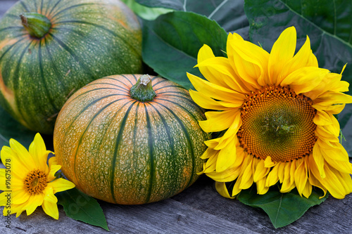 Freshly picked pumpkins with sun flower