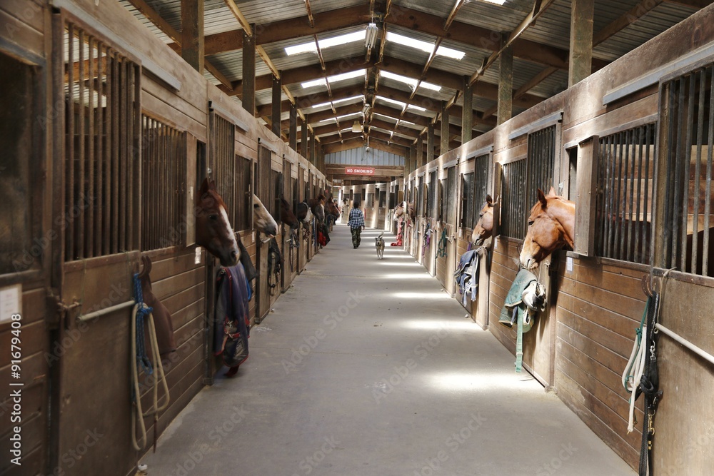 Fototapeta premium Zwierzęta: Pusta stodoła ze znakiem zakazu palenia
