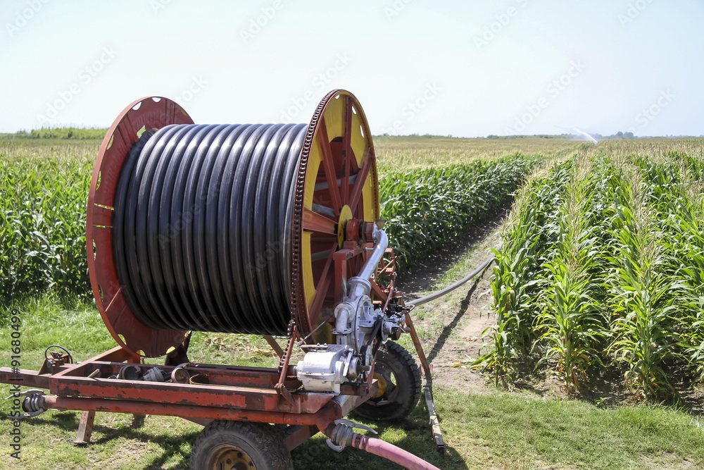 A center pivot sprinkler system watering a grain field in the fe A center pivot sprinkler system watering a grain field in the fe