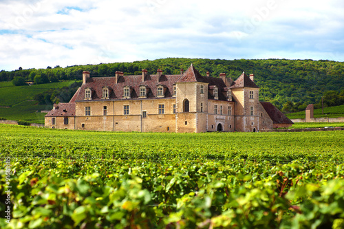 Typical French vineyard and chateau