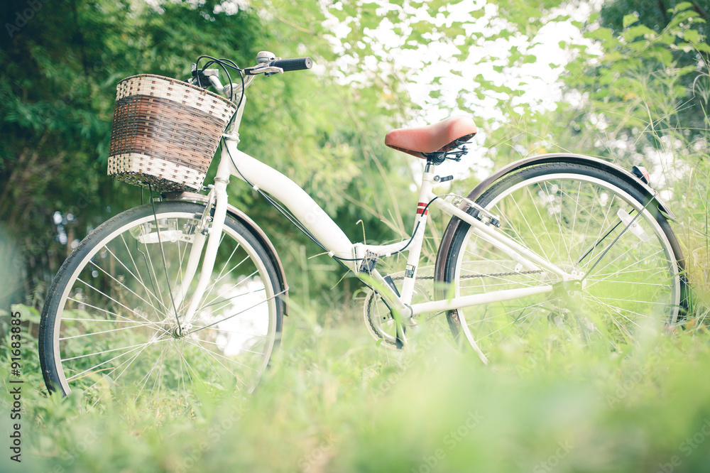 Vintage Bicycle with green grassfield