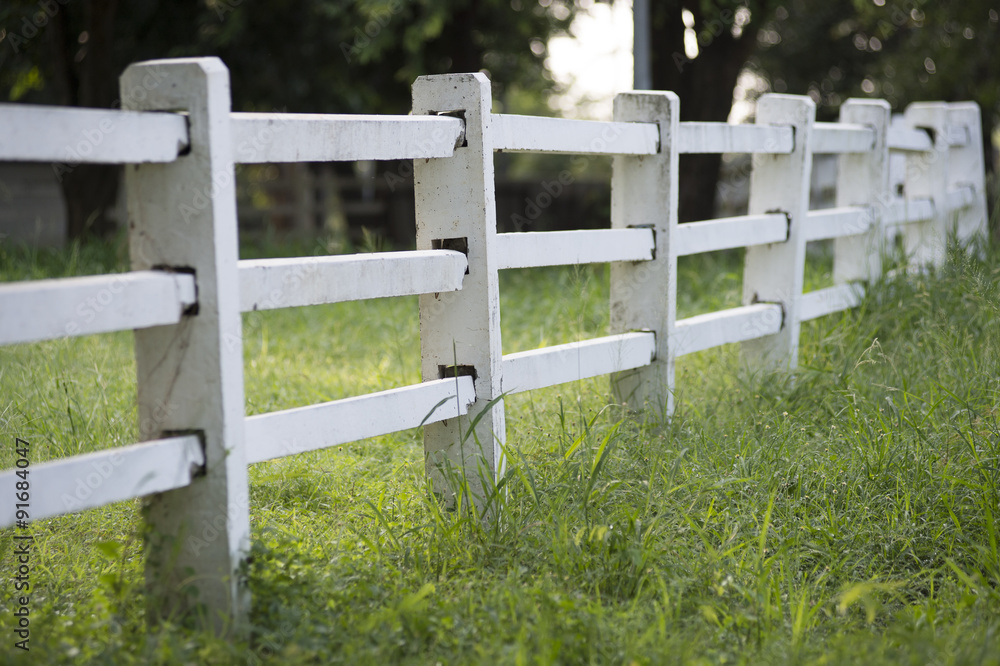 white fence white fence