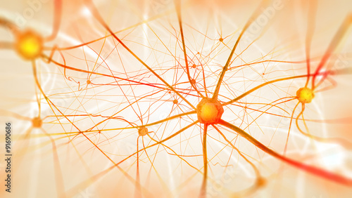 Neurons in the brain on light background
