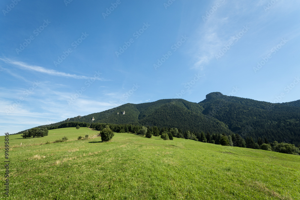 mountain meadows and pastures in Slovakia mountain meadows and pastures in Slovakia