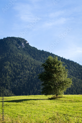 mountain meadows and pastures in Slovakia