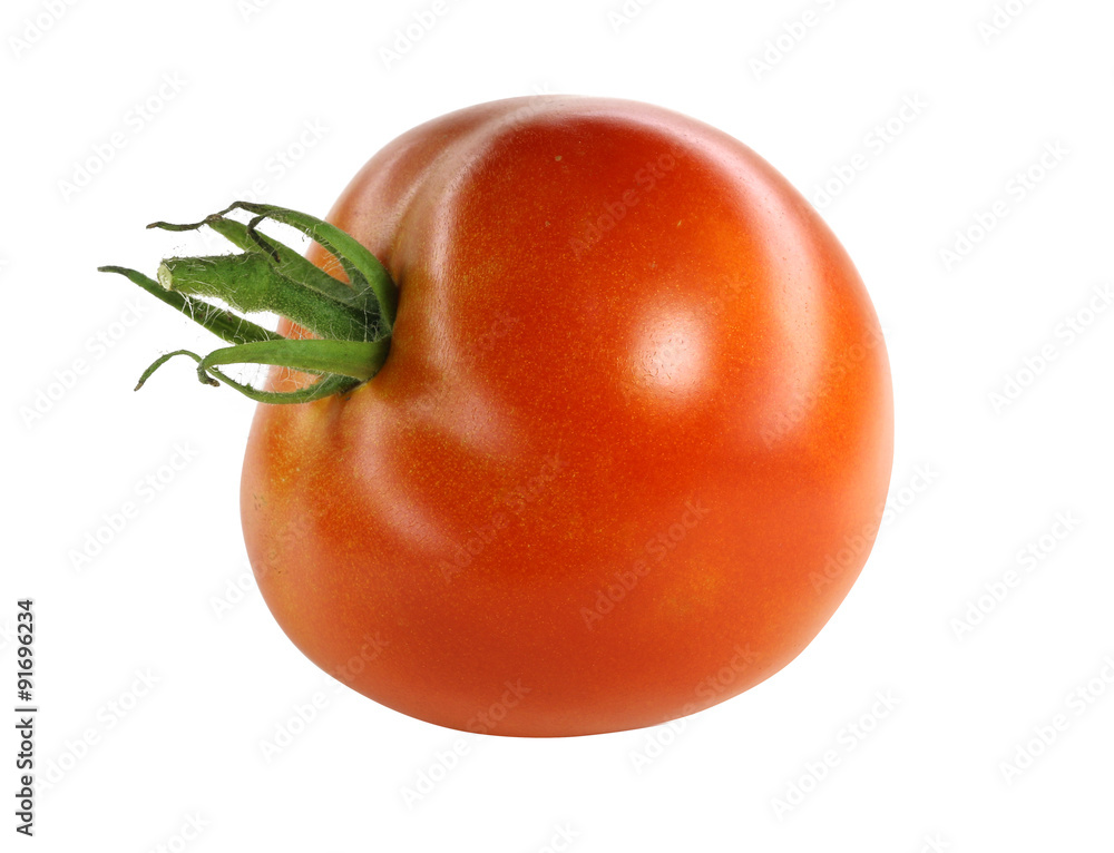 tomatoes isolated on white background tomatoes isolated on white background