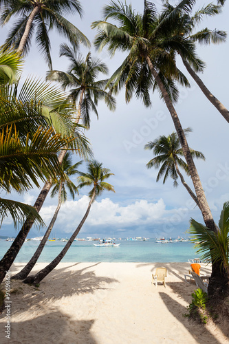 Fototapeta Naklejka Na Ścianę i Meble -  Coconut palms on tropical beach