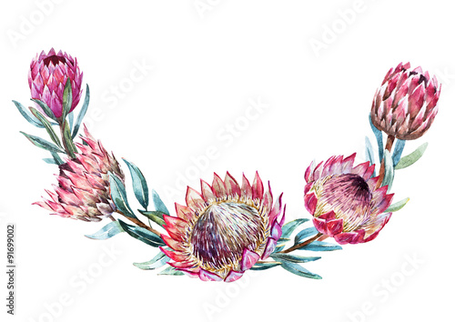 Fototapeta Naklejka Na Ścianę i Meble -  Watercolor tropical protea wreath