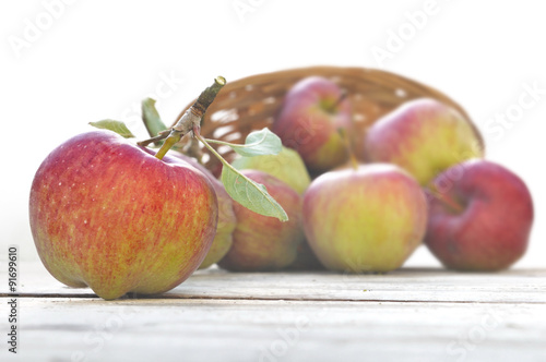 pommes fraîchement récoltées sur une table