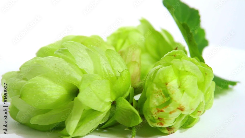 hops rotates hops rotates
