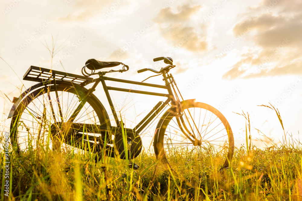 beautiful landscape image with Bicycle at sunset beautiful landscape image with Bicycle at sunset