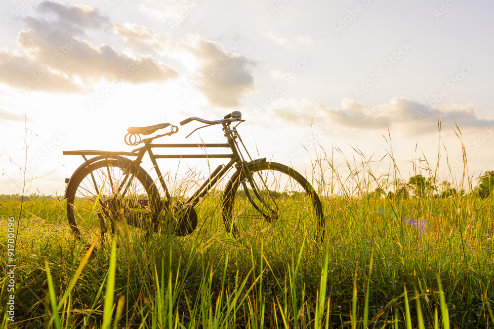 beautiful landscape image with Bicycle beautiful landscape image with Bicycle