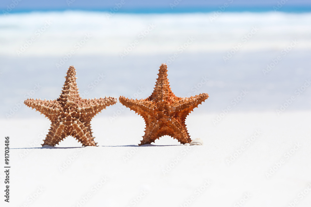 Two starfishes on beach, free copyspace Two starfishes on beach, free copyspace