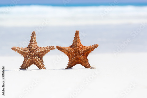 Two starfishes on beach, free copyspace © photopixel