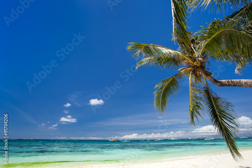 Fototapeta Naklejka Na Ścianę i Meble -  Tropical beach with coconut palm tree, white sand and turquoise