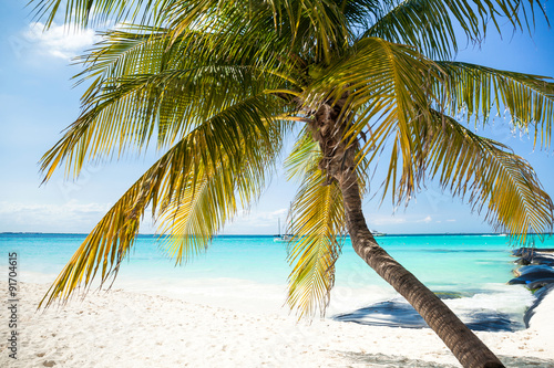 Fototapeta Naklejka Na Ścianę i Meble -  Tropical white sand beach with coconut palm trees.