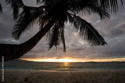 Sunset on tropical beach with palmtree silhouette