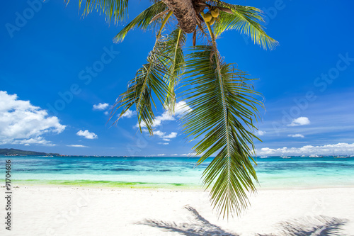 Tropical beach with coconut palm tree leafs  white sand and turq