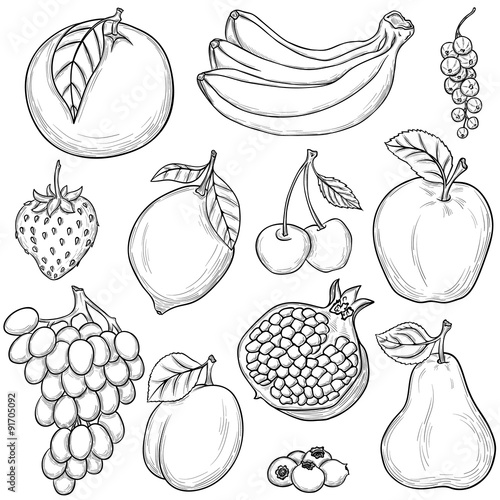 Fototapeta Naklejka Na Ścianę i Meble -  Sketched fruits