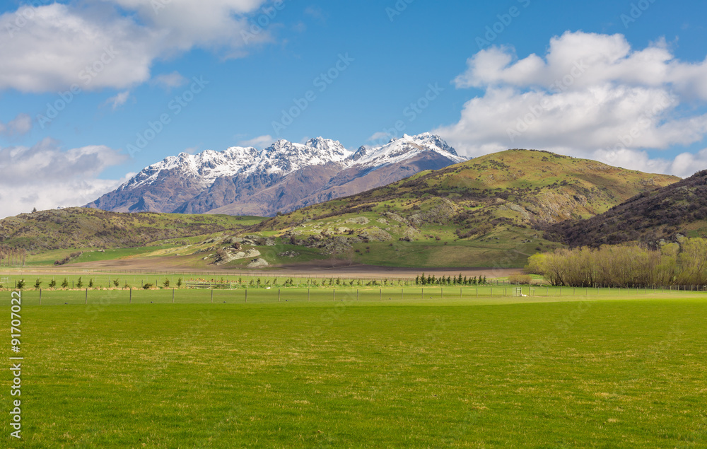 green field and mountain landscape
