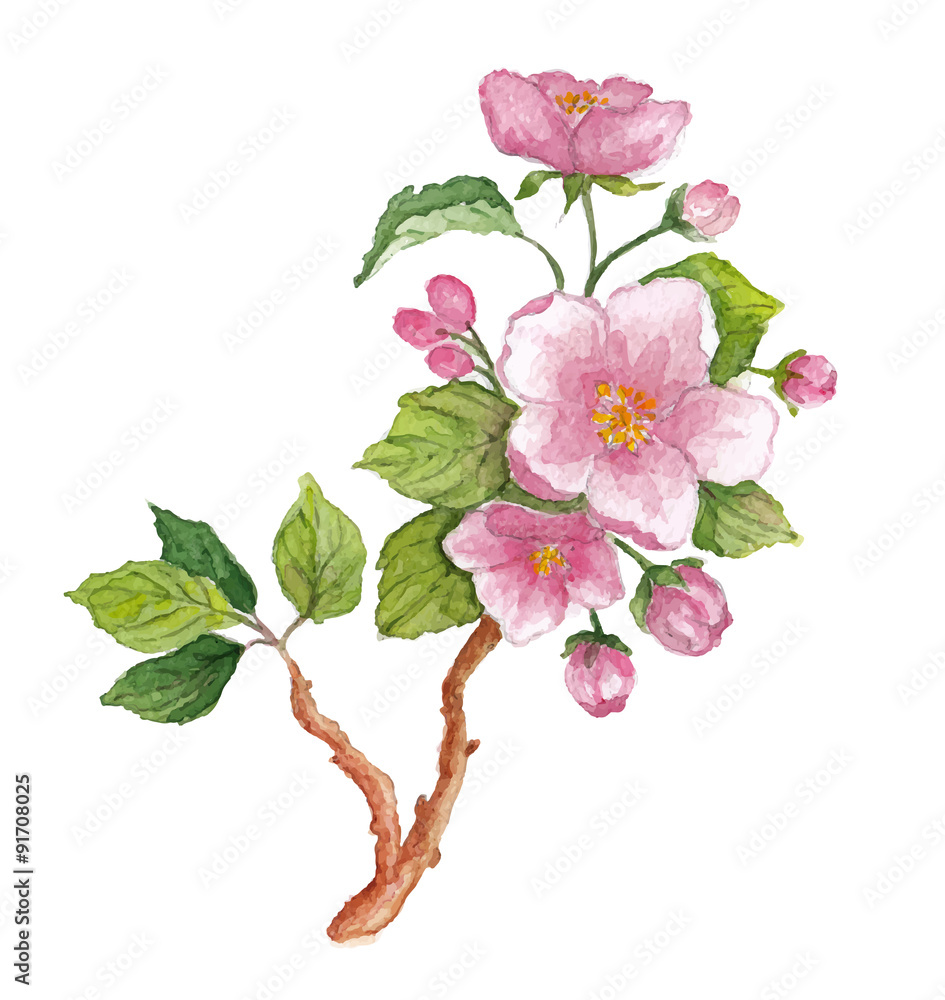 Obraz premium Watercolor branch of cherry blossoms