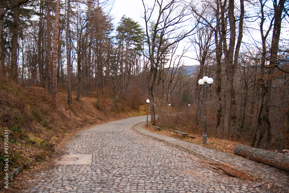 Road in a snow forest Road in a snow forest