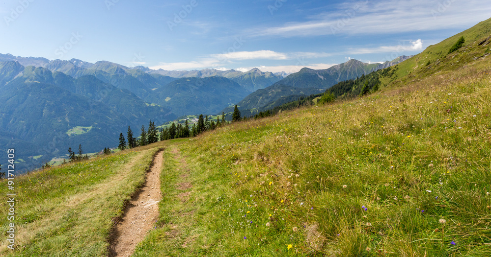 Fototapeta premium Sentier en montagne