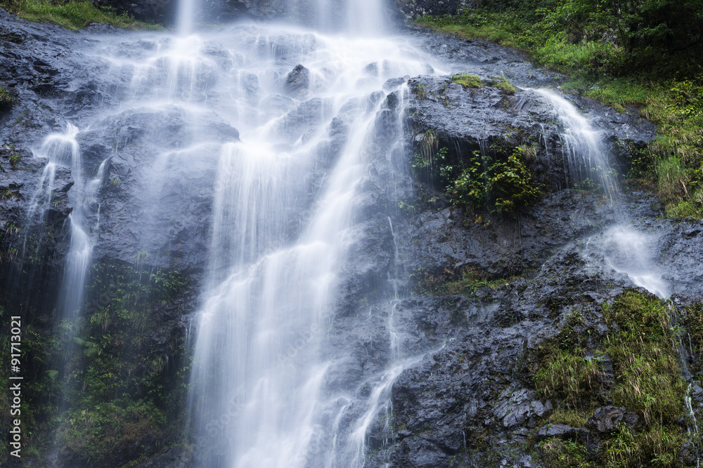 Fototapeta premium Waterfall