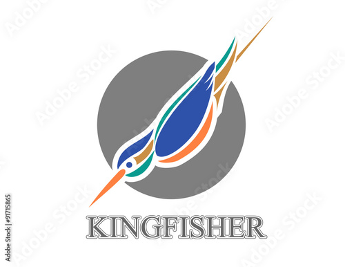Vector illustration of diving Kingfisher