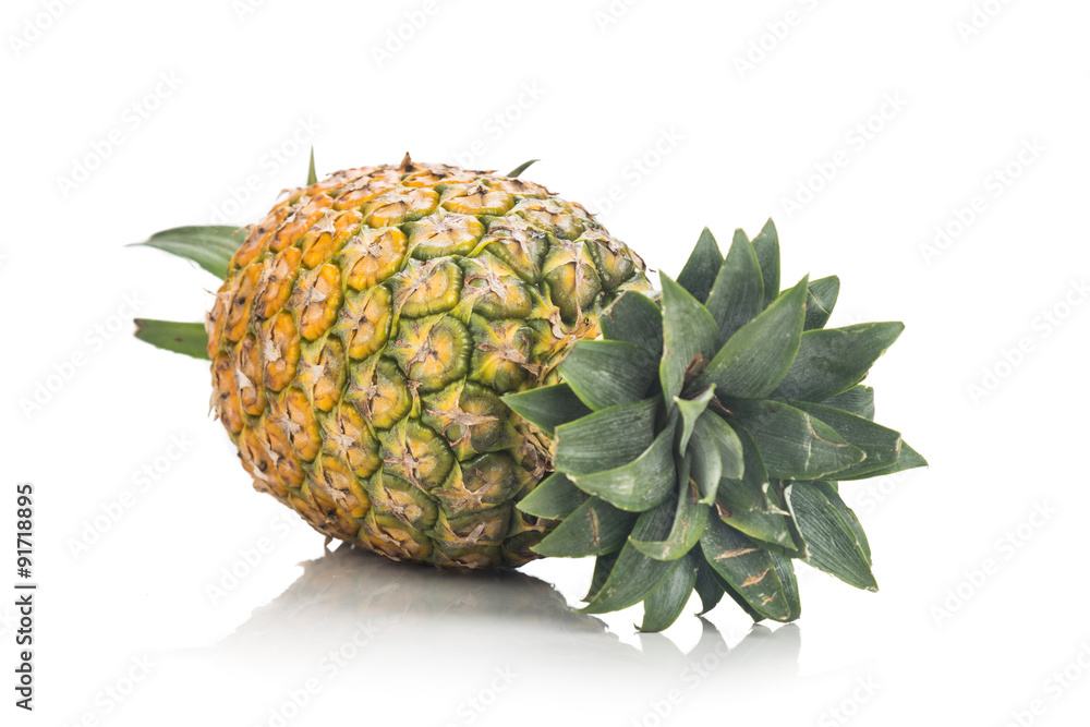 Fresh whole juicy and nutritious pineapple fruit against white background Fresh whole juicy and nutritious pineapple fruit against white background