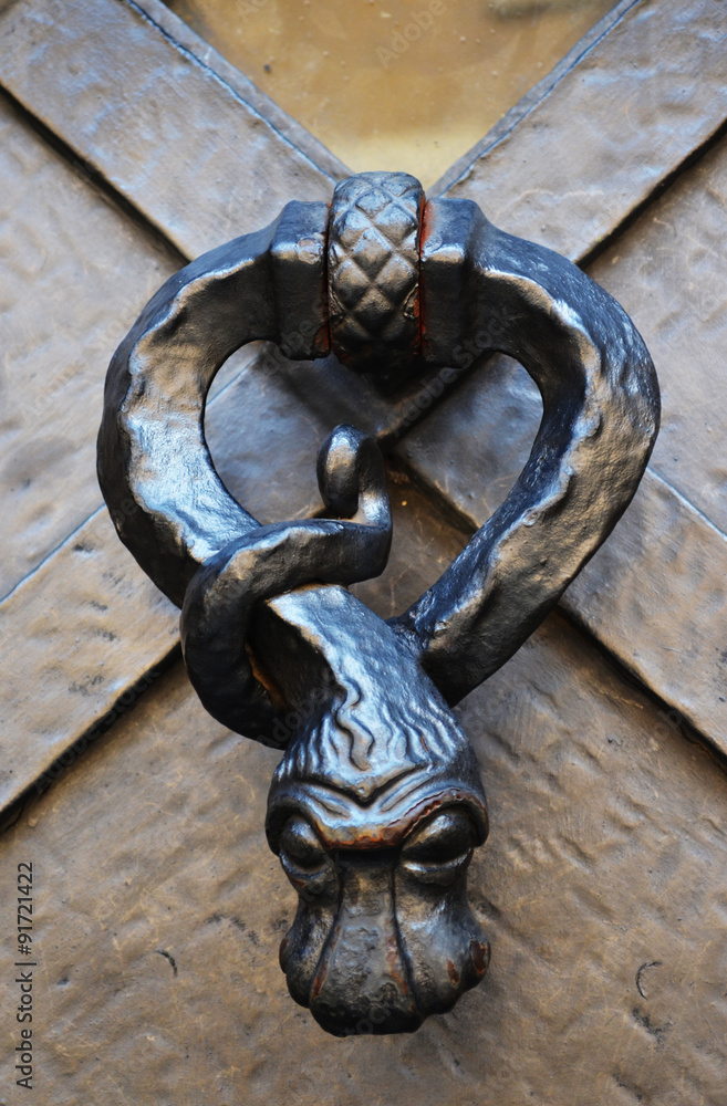 Snake iron door knocker in a house of Prague, Czech Republic