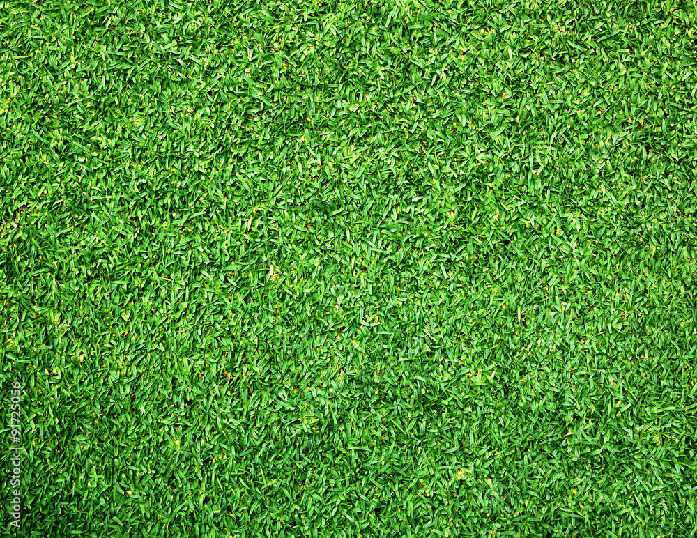 Fototapeta premium Beautiful green grass texture