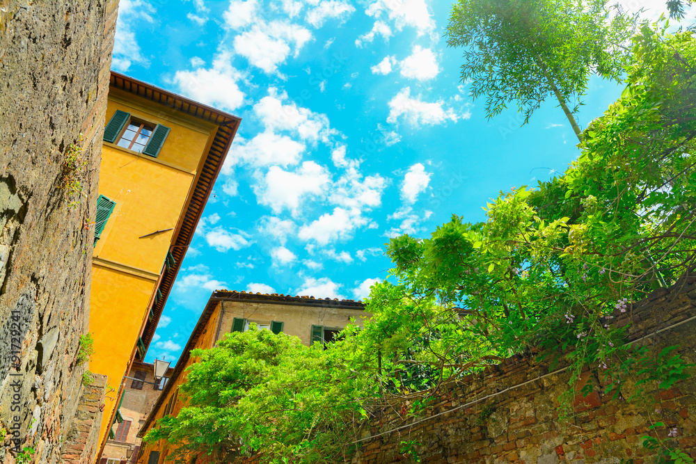 Obraz premium picturesque corner in Siena during the springtime