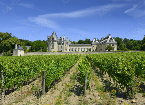 Fotografie Castle Breze of Loire Valley, France. Loire Valley is UNESCO WH