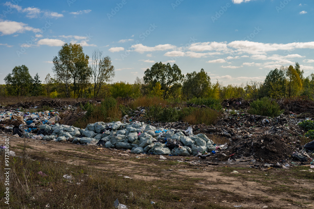 Pile of garbage in front of green trees
