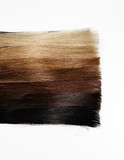 hair samples of different gradient colors