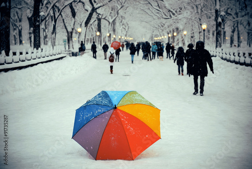 Central Park winter © rabbit75_fot