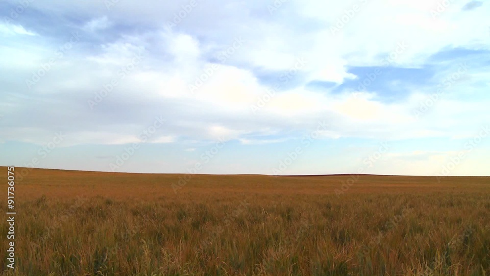 Vast open plains stretch out to the horizon. Vast open plains stretch out to the horizon.