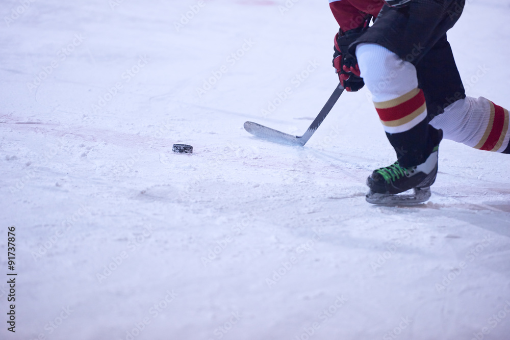 Fototapeta premium ice hockey player in action