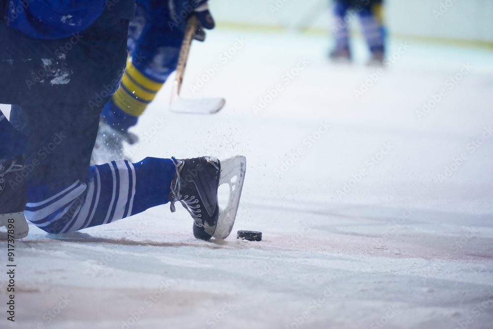 Fototapeta premium ice hockey player in action