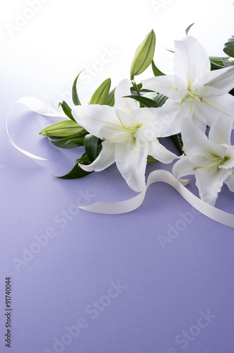 Fototapeta Naklejka Na Ścianę i Meble -  白百合